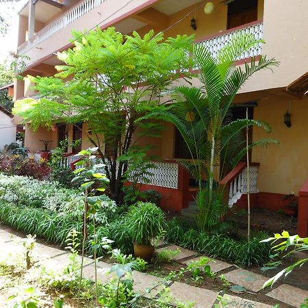 Pinto Guest House Candolim Exteriér fotografie