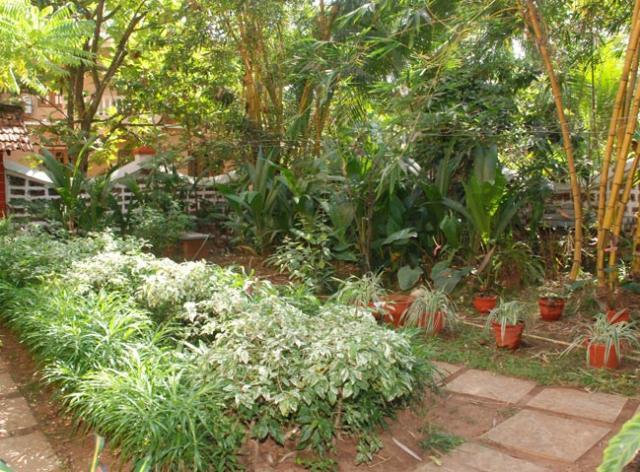 Pinto Guest House Candolim Exteriér fotografie